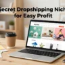 Dropshipping Niches.